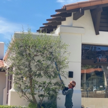 forest-green-gallery-020121-a