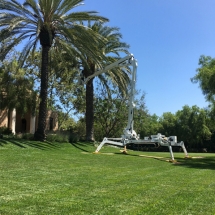 forest-green-gallery-020121-c