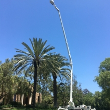 forest-green-gallery-020121-d