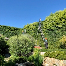 forest-green-gallery-020121-e